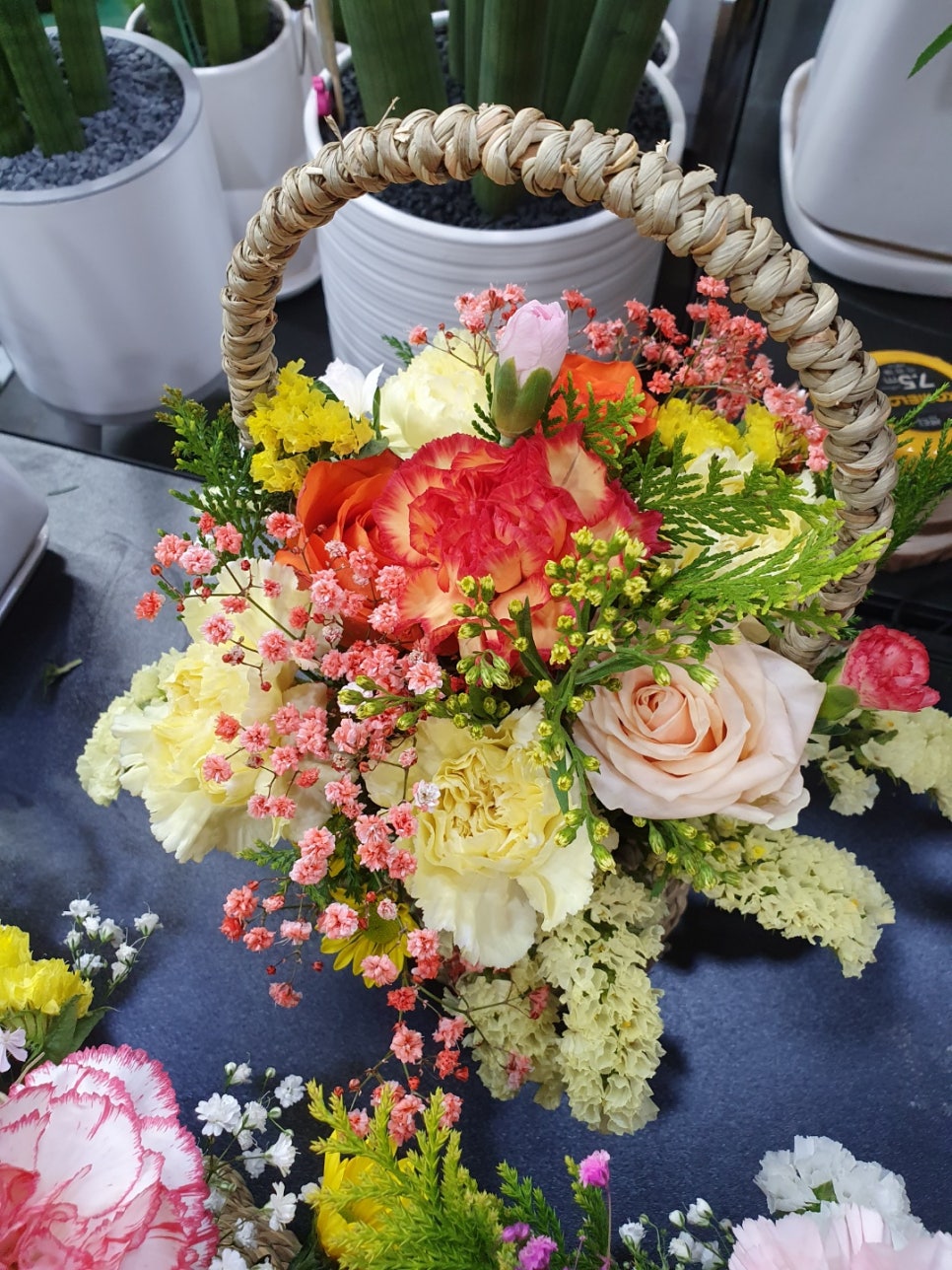 우노꼬레 이미지