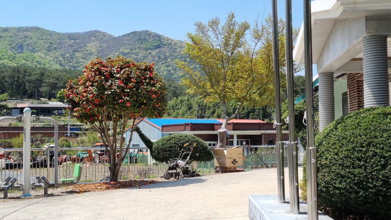 고성곱배 이미지