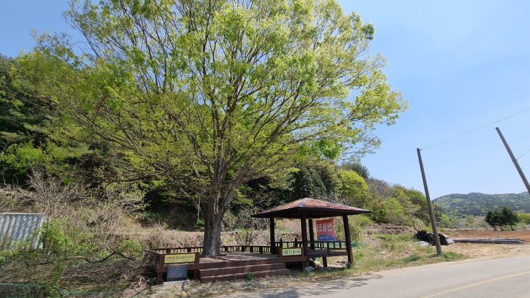 고성곱배 이미지