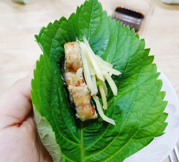 금오산민물장어 이미지