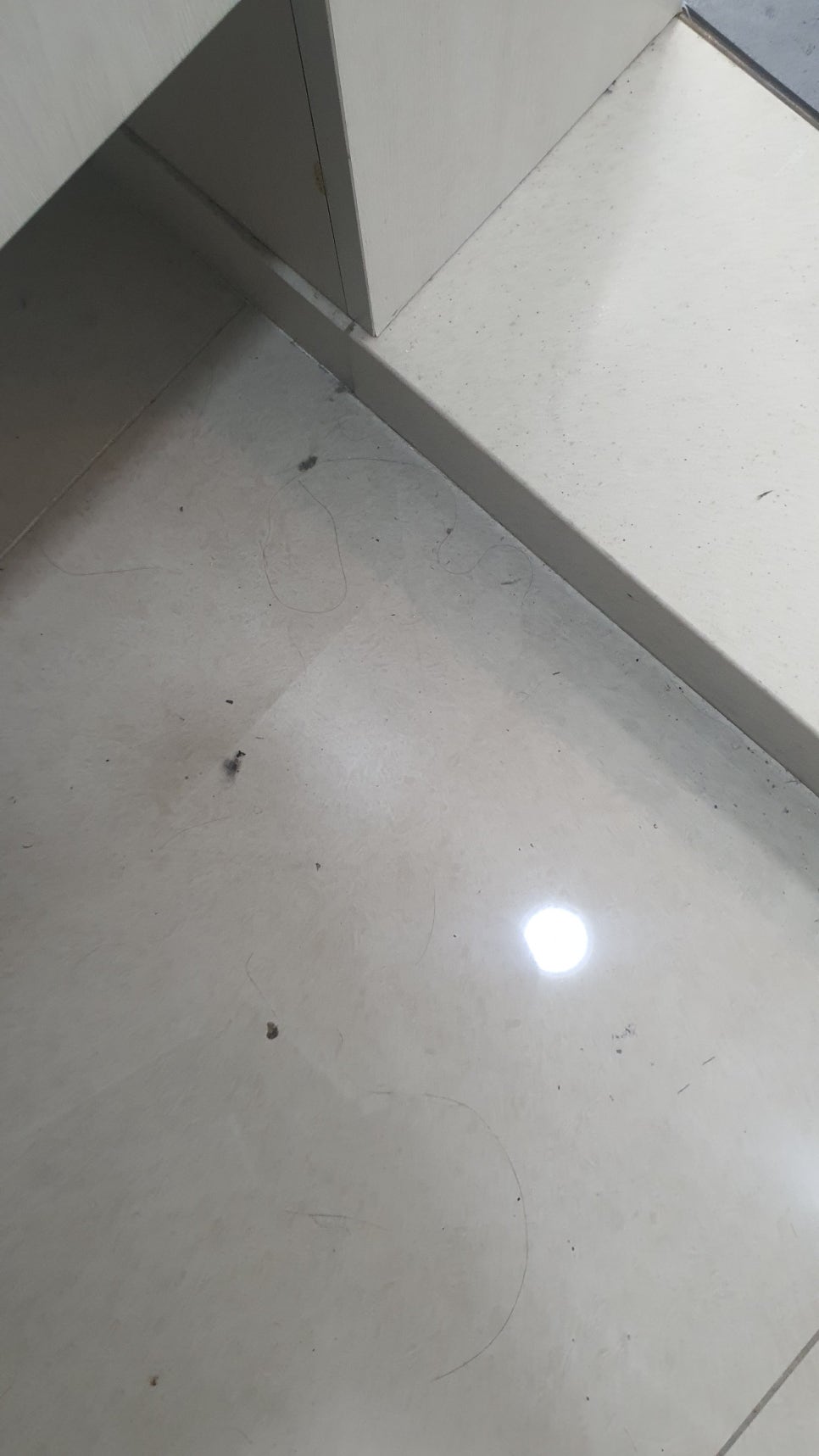 봄이네홈케어 이미지