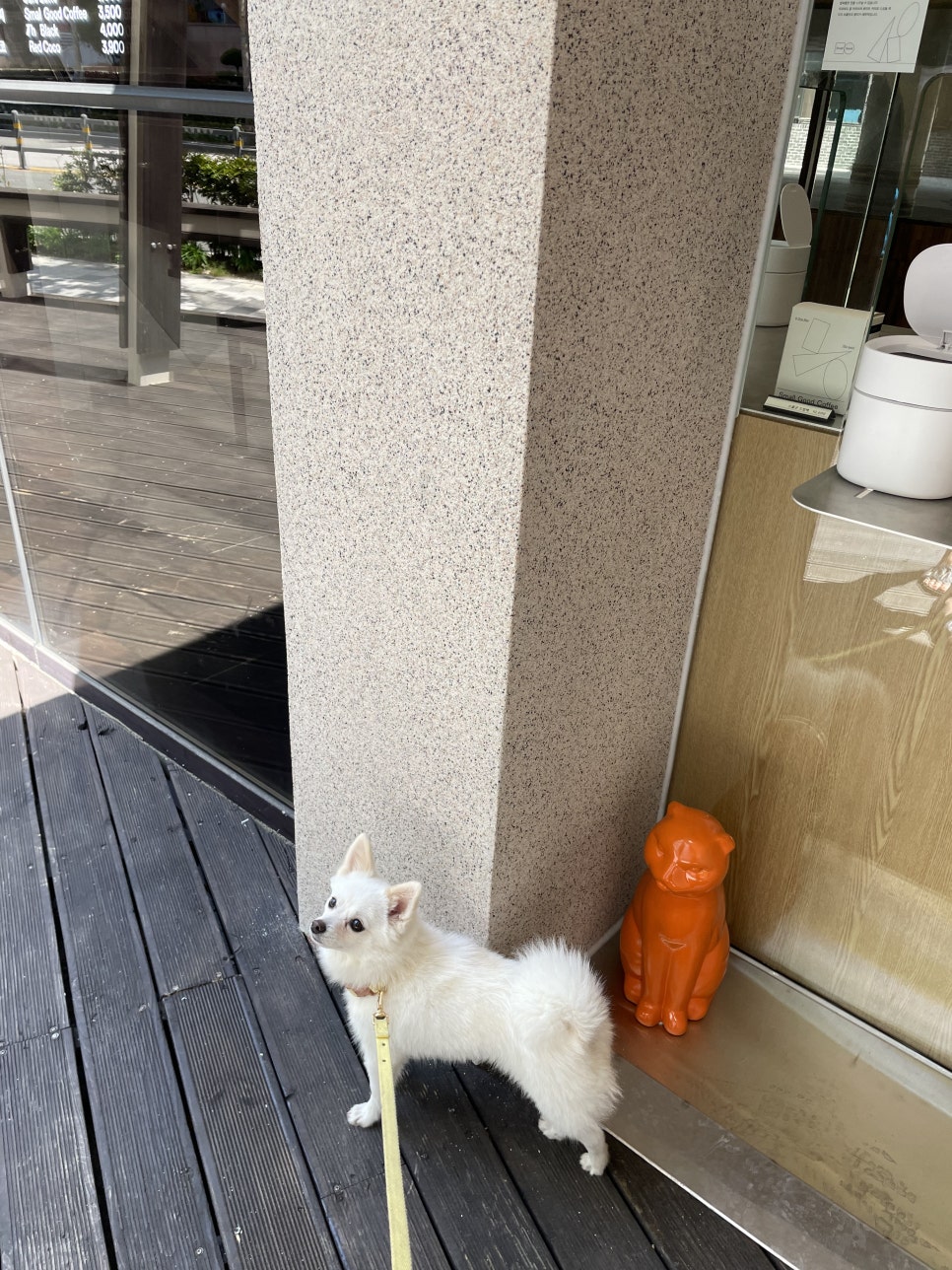 스몰굿커피 광안역점 이미지