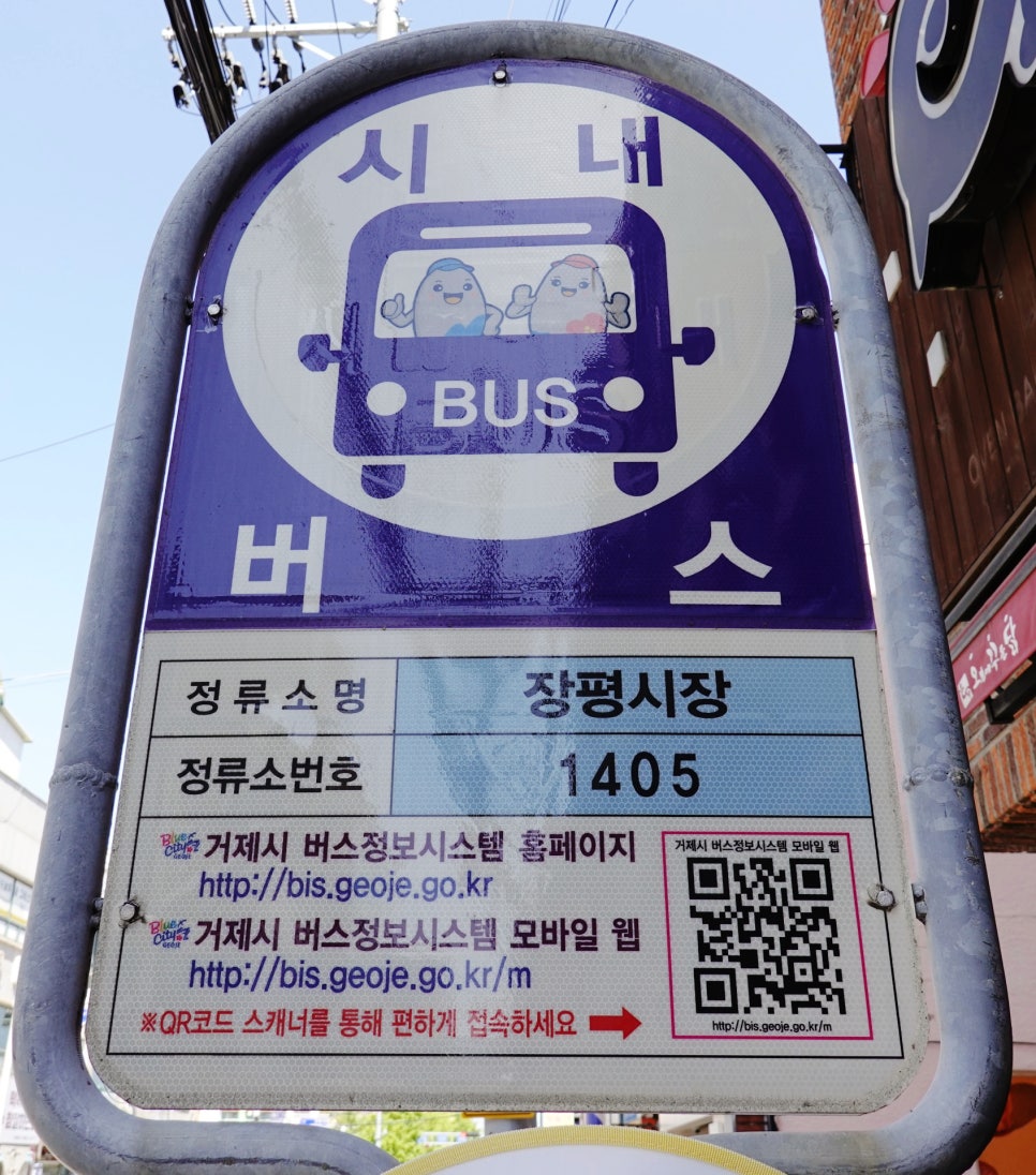 댄싱컵 거제장평점 이미지