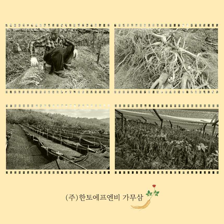 고유에프엔비 이미지