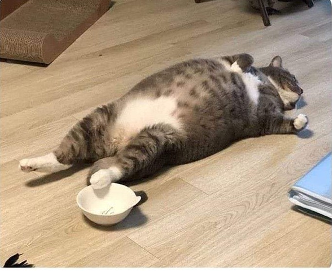 꺄도 이미지