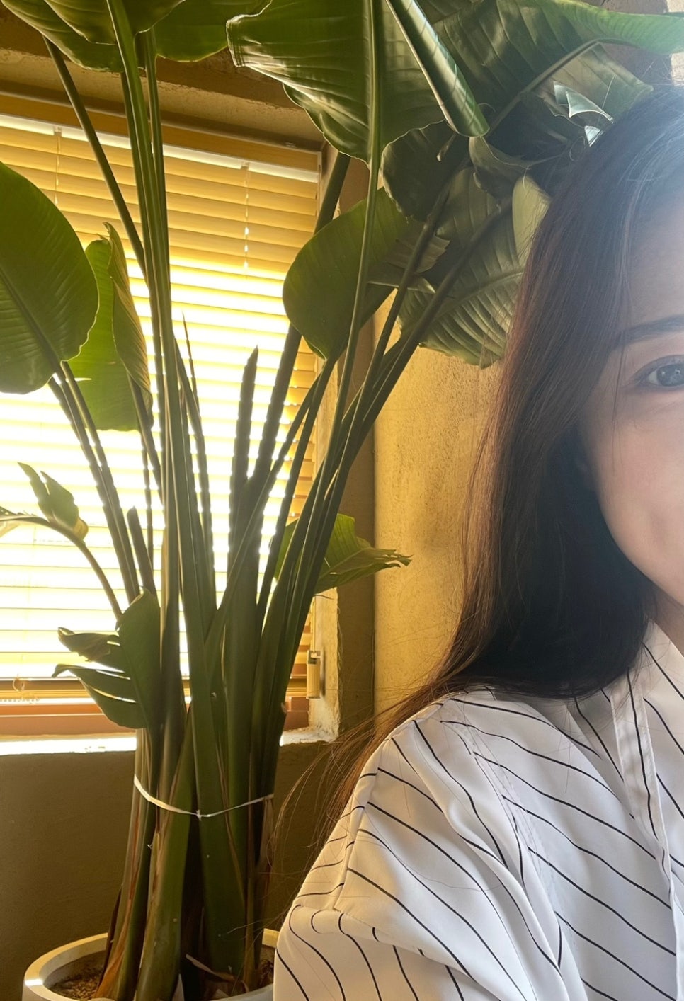 스케치커피크루 이미지