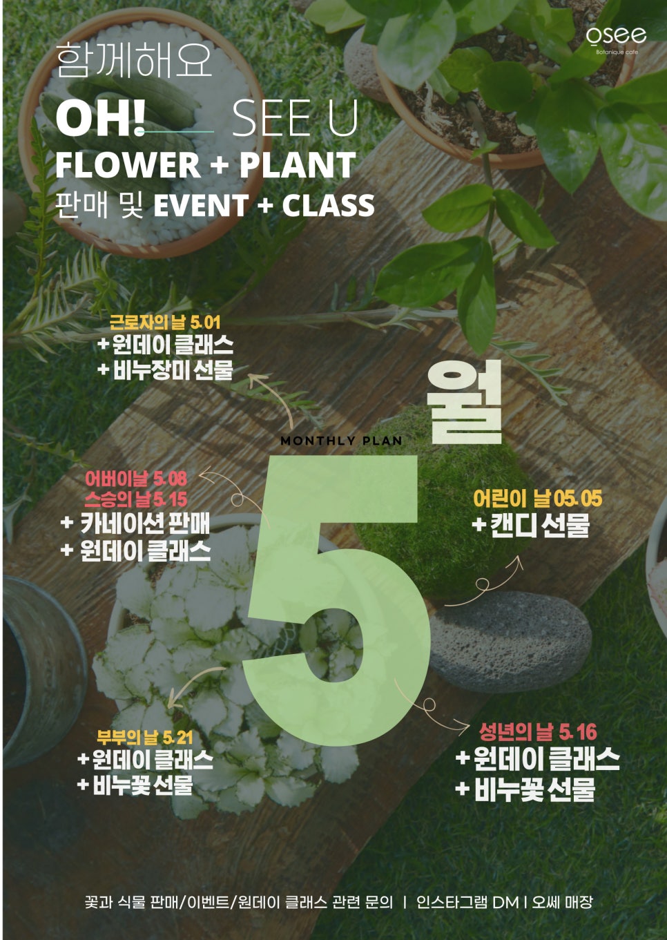티피엘 이미지