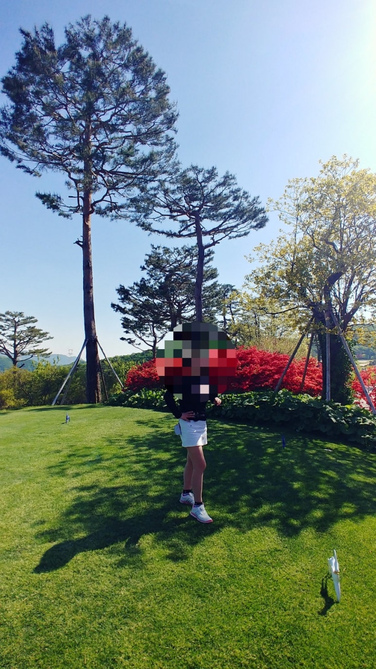 옥이네 집밥 이미지
