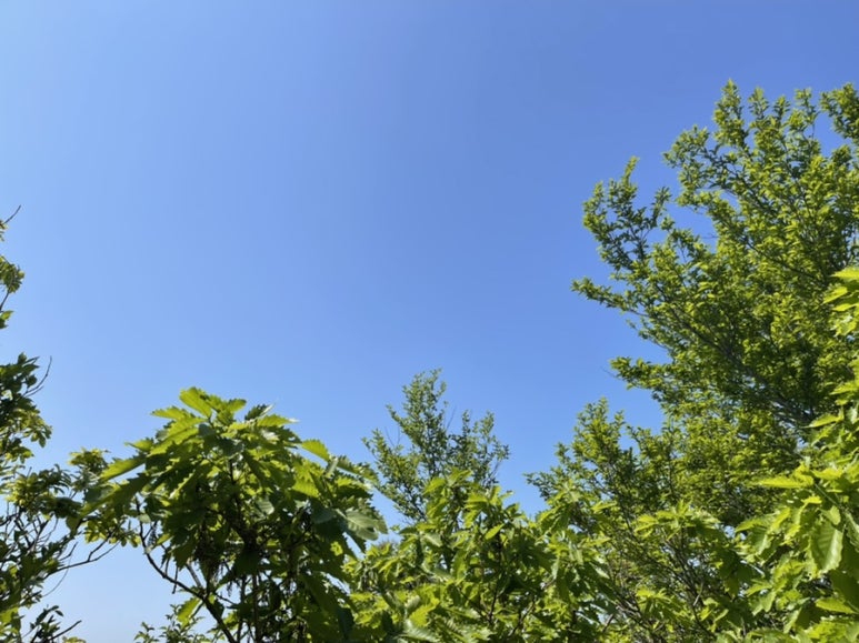 세븐부산두산동국점 이미지