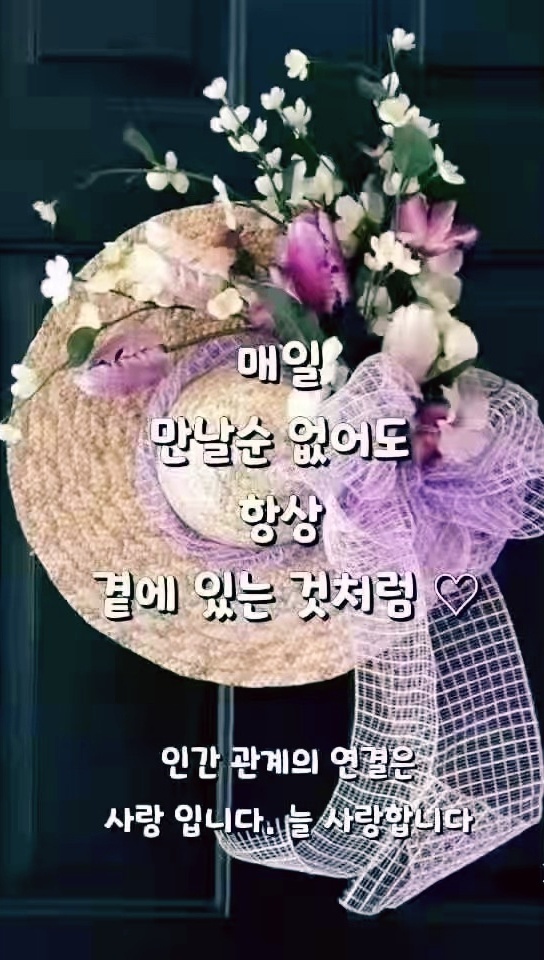 백합사 이미지