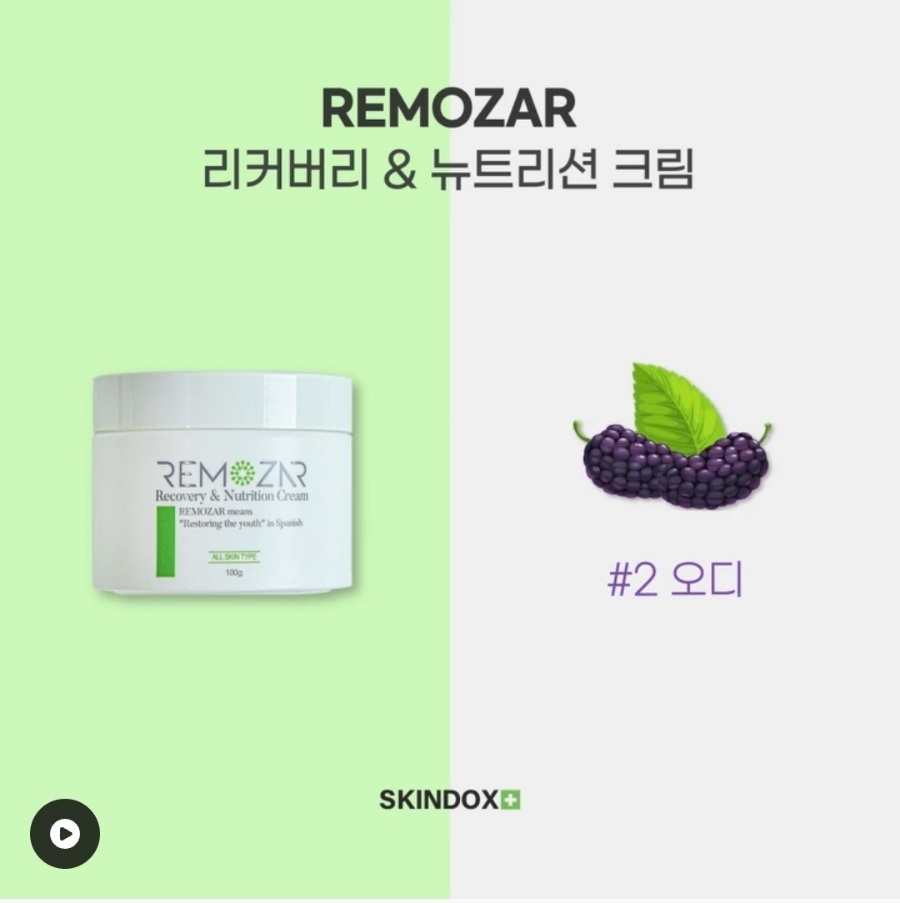 스킨독스 이미지