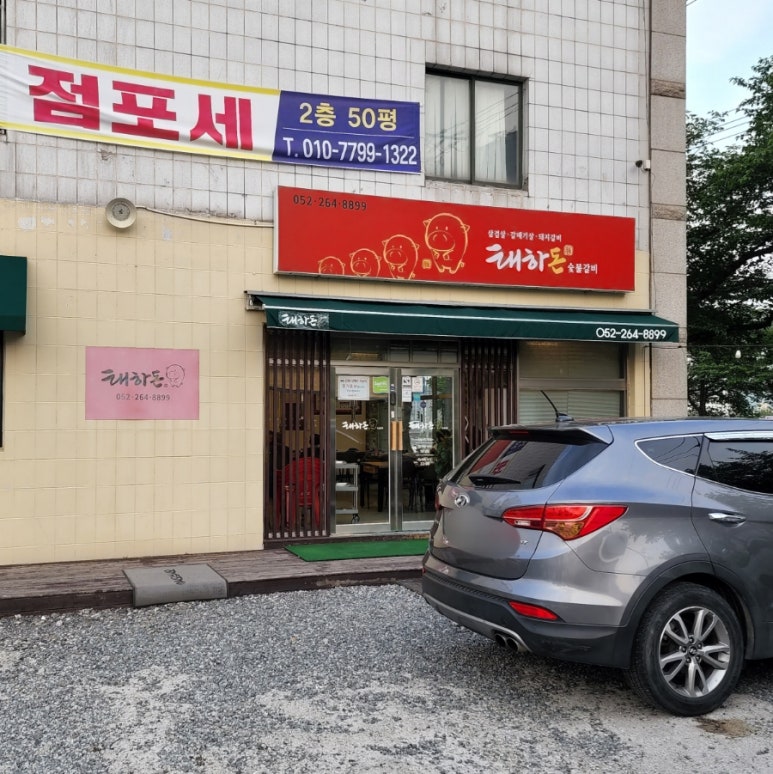 태하돈 이미지
