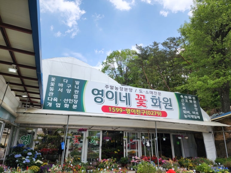 영이네꽃집 이미지