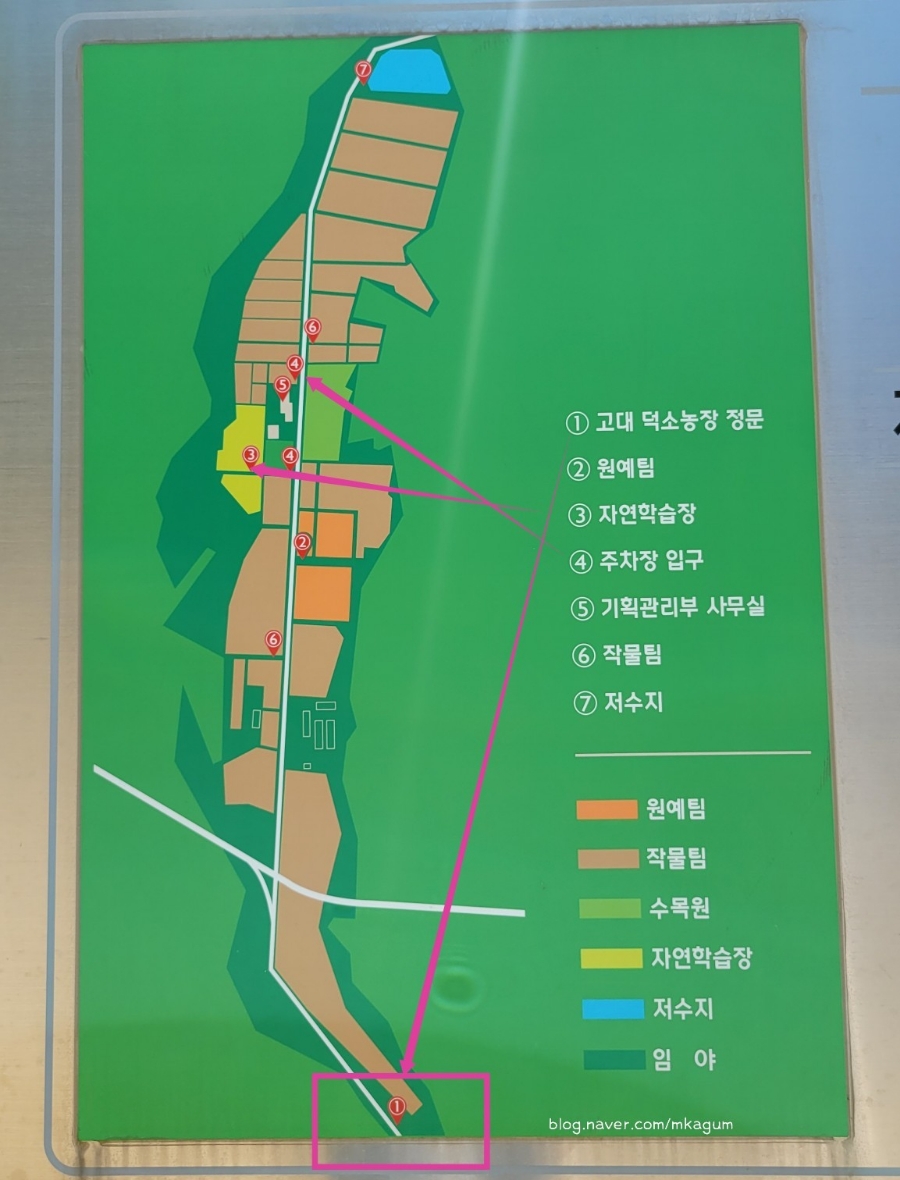 고려대학교 덕소농장 이미지
