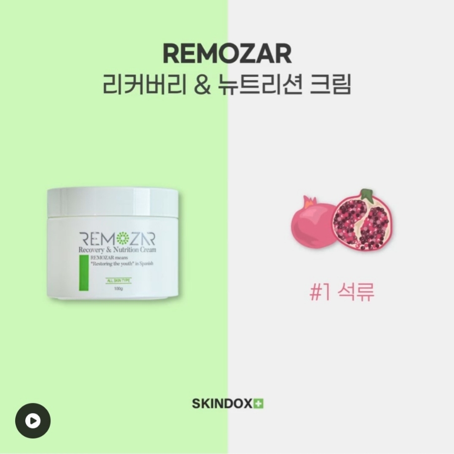스킨독스 이미지