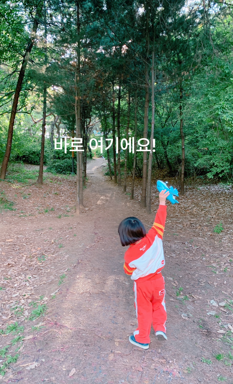 오금공원 유아숲체험원 이미지