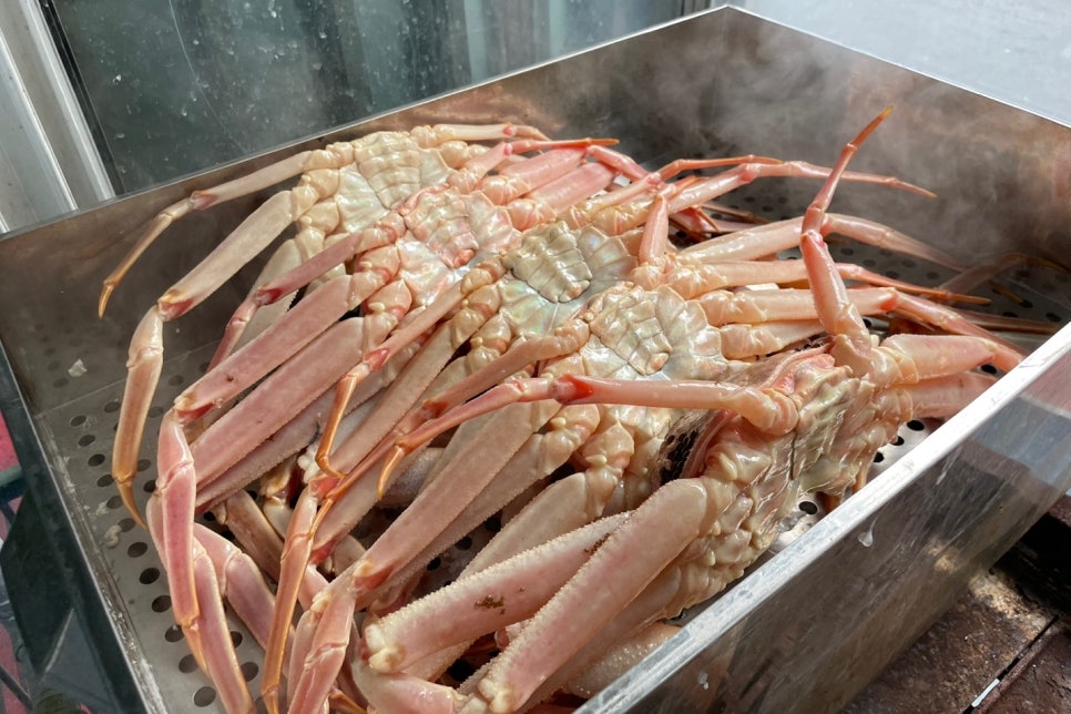 부산대게 이미지