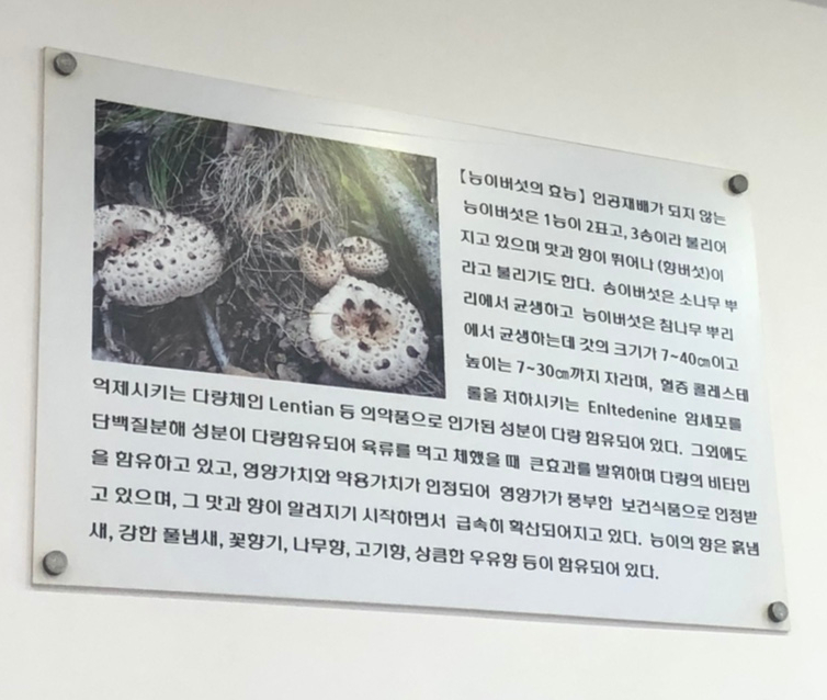 박가네 능이백숙삼계탕 이미지