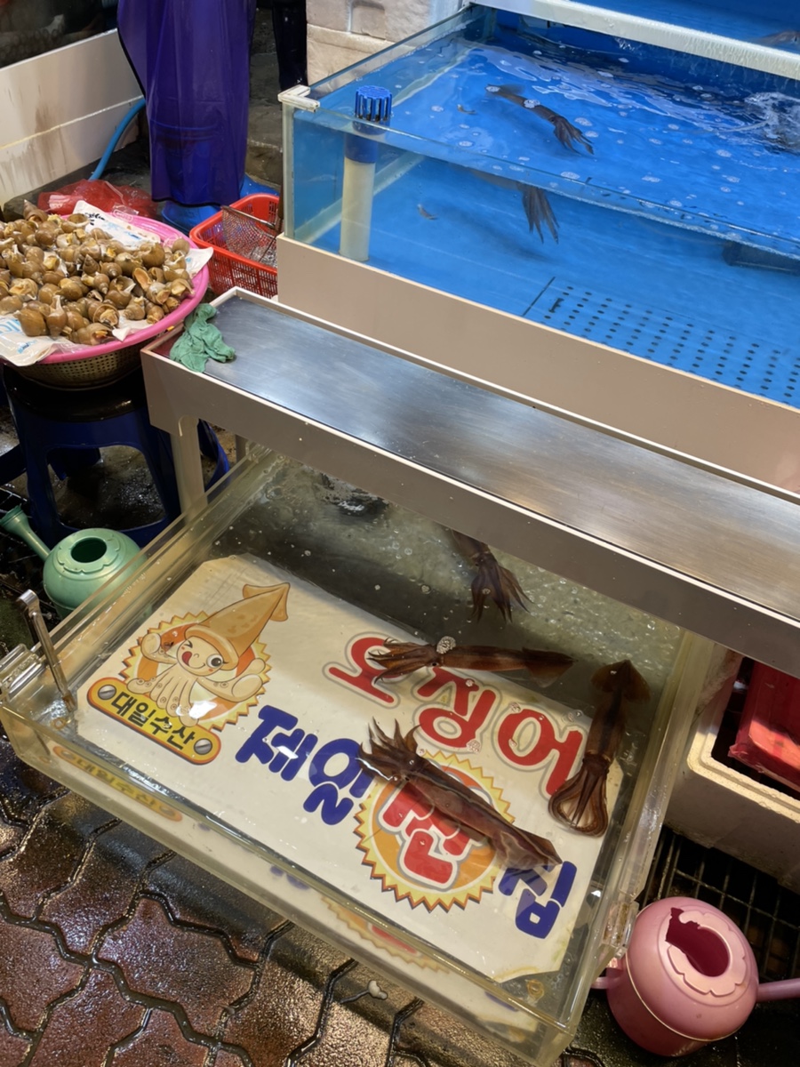 정든식당 이미지