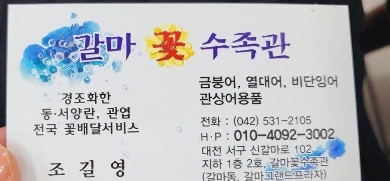 갈마꽃집 이미지