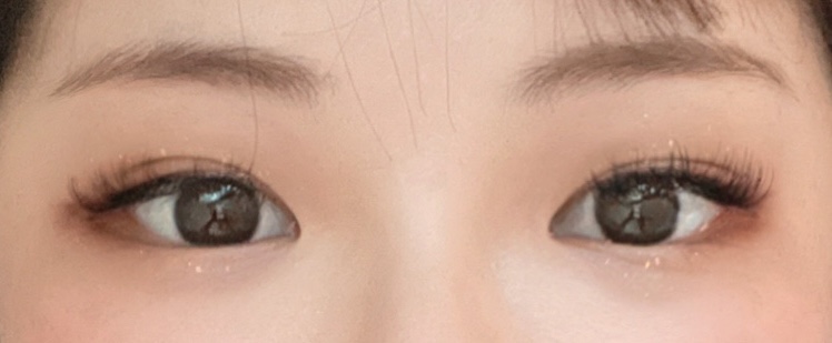 르네41 이미지