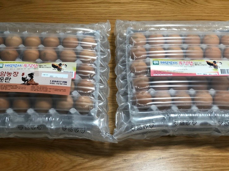 새벽계란 이미지