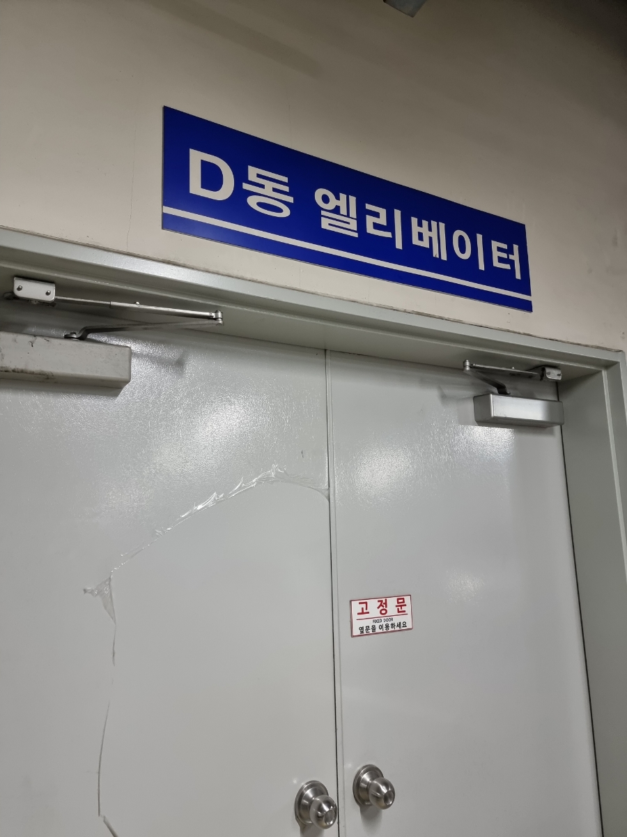 용인 도그밸리 유치원: 강아지 사회성·수중 트레드밀 후기 — 사진 3