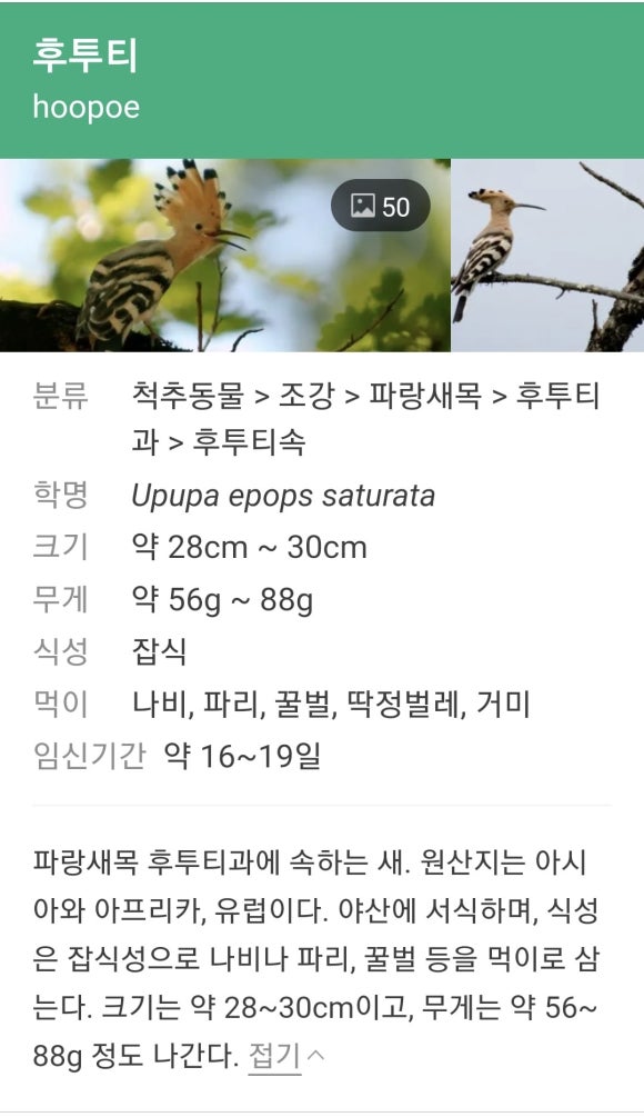 동영다움 이미지