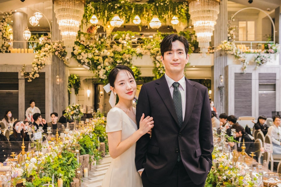 카카오토브 이미지