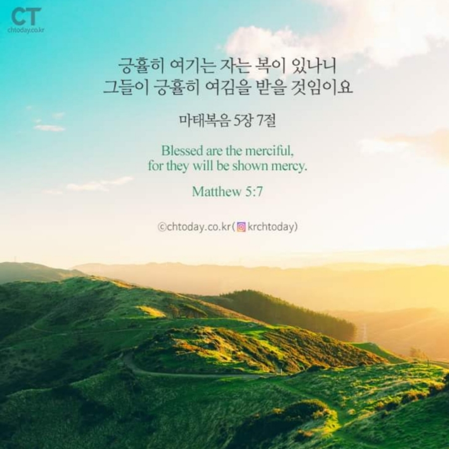 오늘제주 이미지