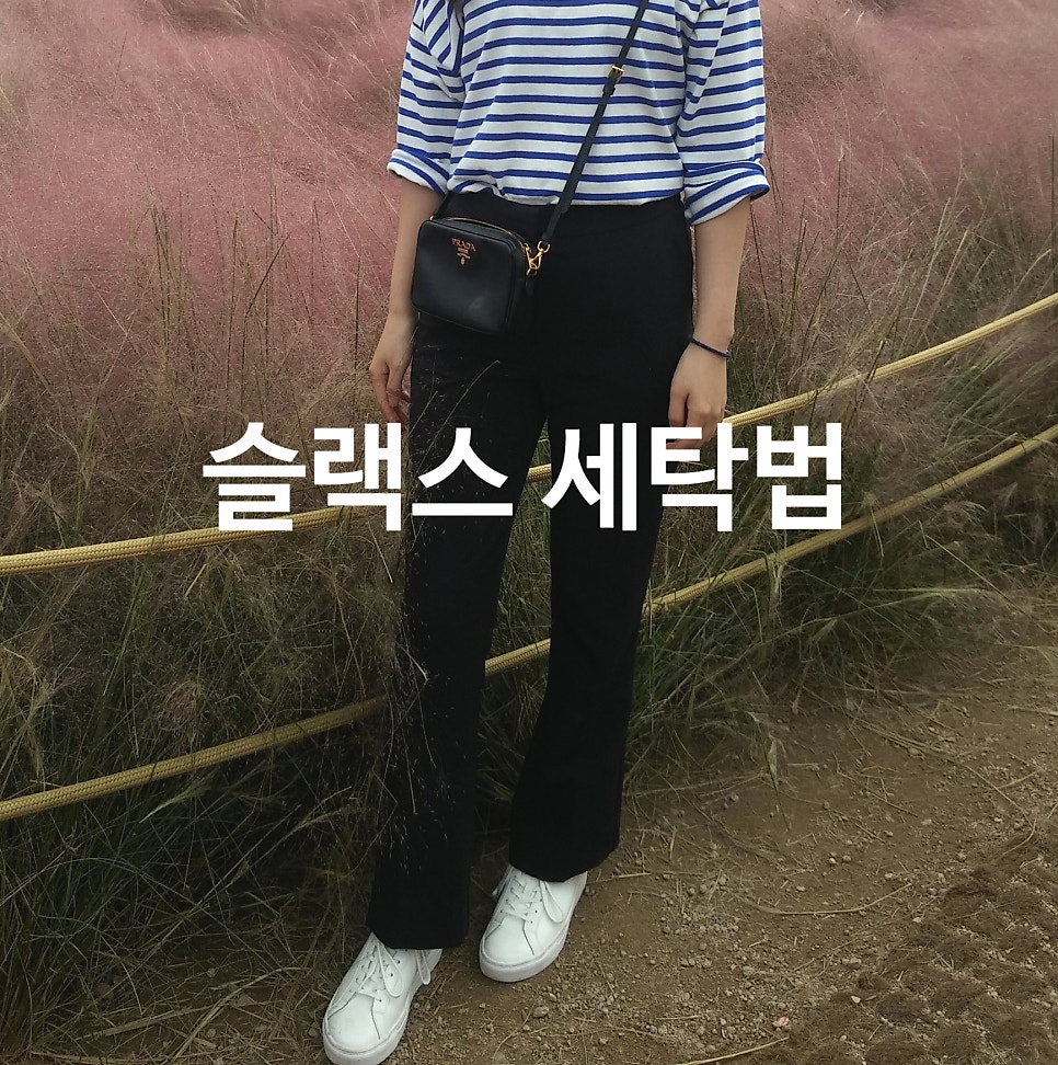 최소살리미 이미지