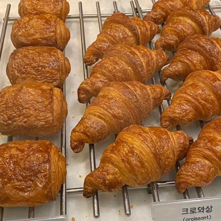 제이스87 이미지
