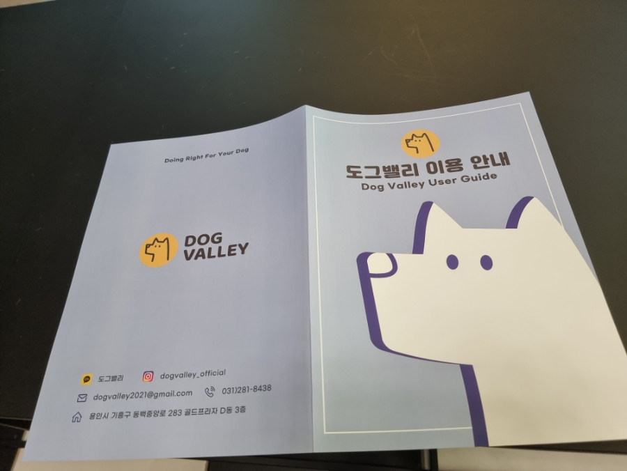 용인 도그밸리 유치원: 강아지 사회성·수중 트레드밀 후기 — 사진 14