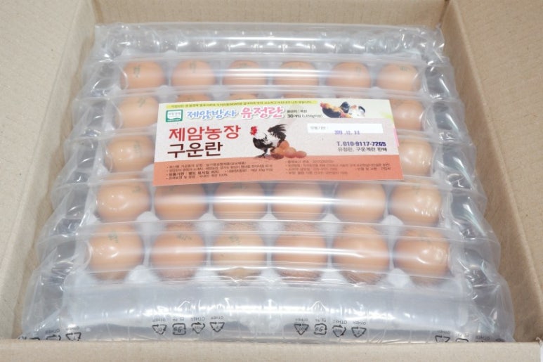새벽계란 이미지