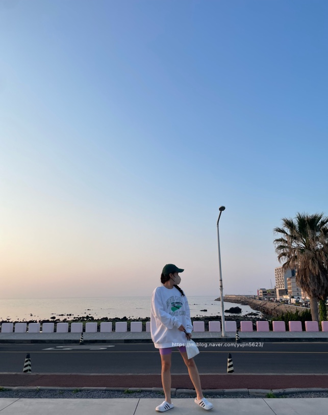 스테이로스터스 이미지