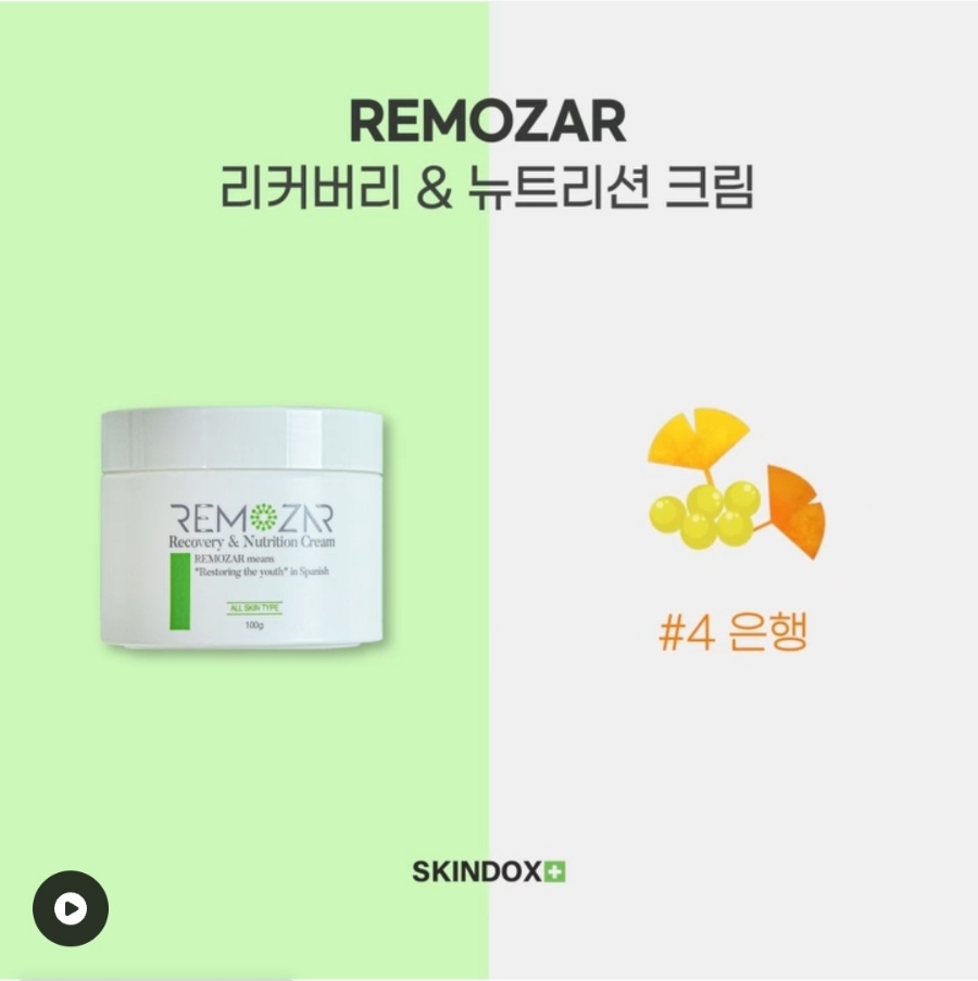 스킨독스 이미지