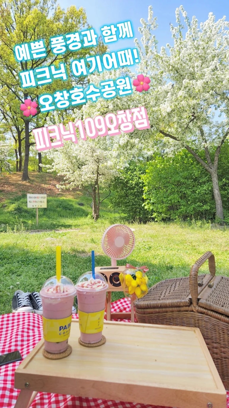 피크닉109 이미지