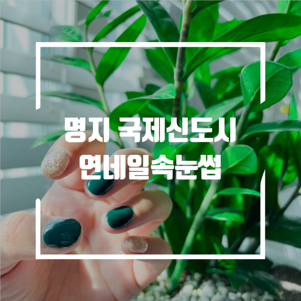 오늘:연네일 이미지