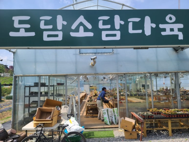 도담소담다육 이미지