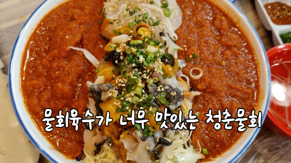 청춘물회 이미지