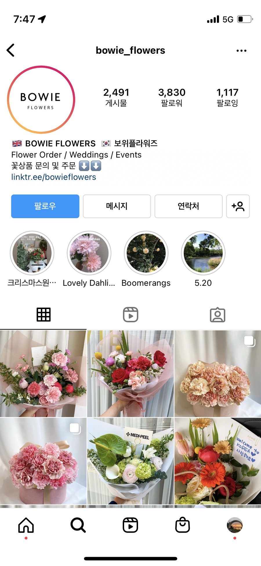 보위플라워즈 이미지