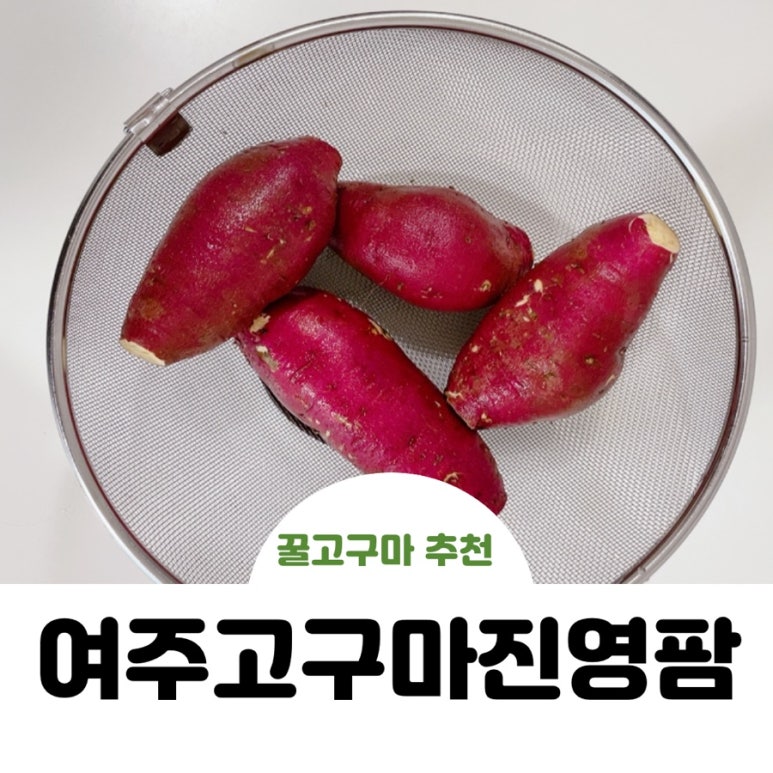 진영팜 이미지
