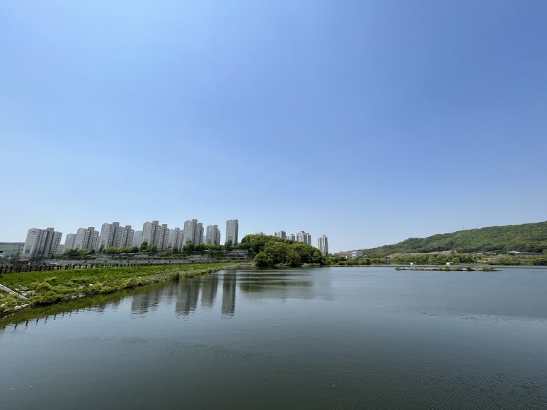 월랑쭈꾸미아산 이미지