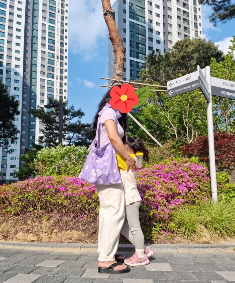 엘림플라워 이미지