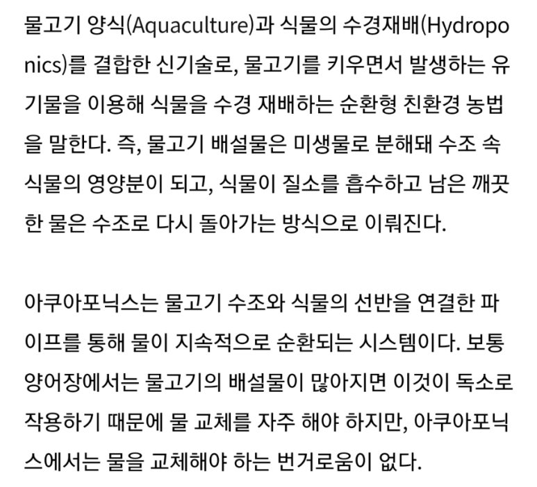 오수만물 이미지