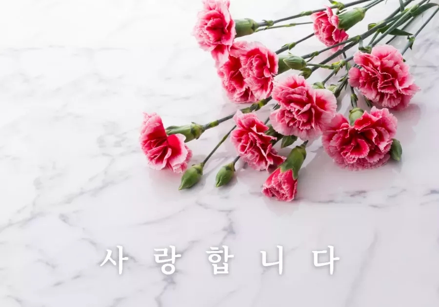 한우특급 이미지
