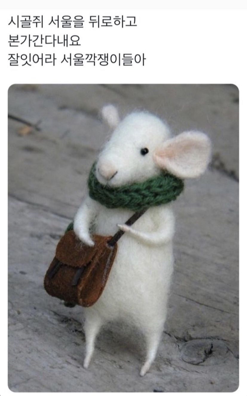 깍쟁이 이미지
