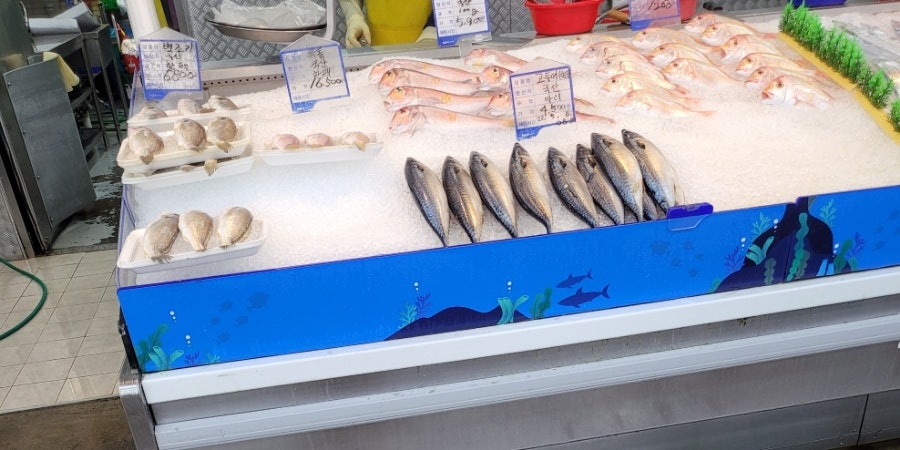제주시농협하나로마트노형점 이미지