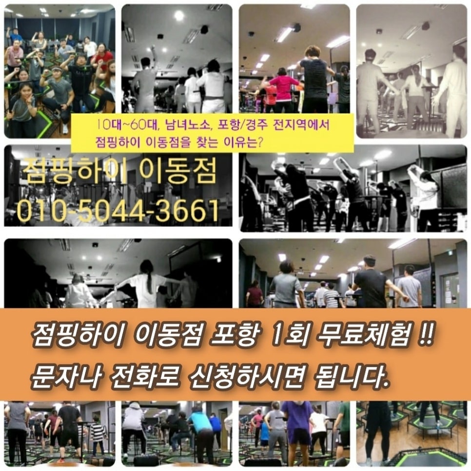 점핑하이장수 이미지