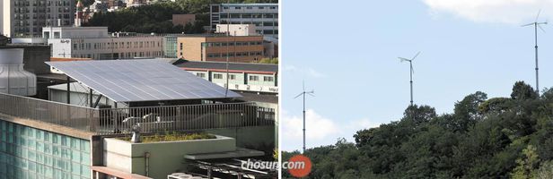 자유태양광발전소 이미지